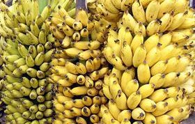 русия разсърди еквадор купува банани индия