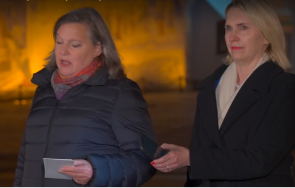 политическа криза украйна изправена вътрешна дестабилизация