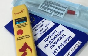 голямо количество ветеринарни лекарства 128 паспорта животни задържаха летище софия