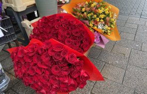 розите март идват заедно банани вкарват еквадор