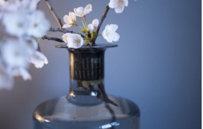 семеен скандал възрастен мъж счупи главата съпругата стъклена ваза