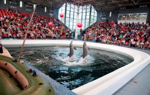 делфинариумът варна безплатни представления деца