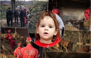 двегодишно момиченце изчезна сърбия интерпол обяви международно издирване