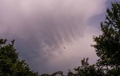БЕДСТВИЕТО: Огромен облак причина за щетите от градушката в Сливенско