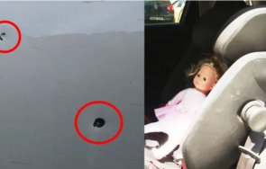 Стрелба по автомобил в София: Дупка зее на вратата до мястото на 4-годишно момиченце