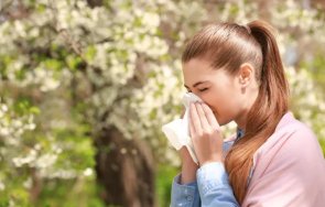 сезонът алергиите предупредиха свръхколичества полени пухчета