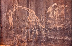 проф николай овчаров щурмува сърцето сахара