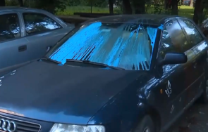 злосторник лисна блажна боя кола софия