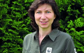 зелените отново искат забрана пашата национални парка