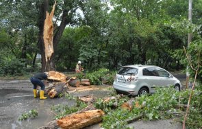 хасково разчиства щетите бурята снощи