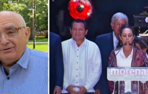 истинската партия зелените участва самостоятелно изборите