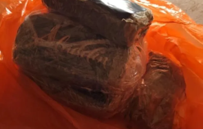 сектор кобра откриха голямо количество хашиш лаборатория софия снимки