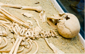 намериха човешки кости останки ковчег изкоп строеж добрич