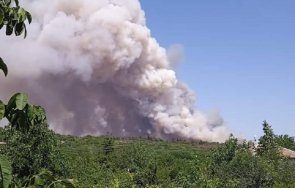 плевенско пламна гори голям пожар три села