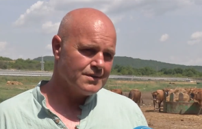 фермери страдат нелоялна конкуренция имитиращи млечни продукти