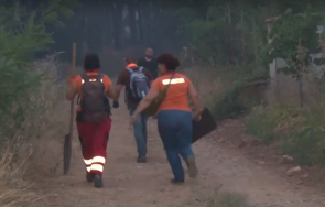 гласуваха хил помощ животновъдите унищожени ниви пожарите сакар