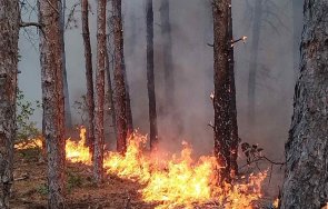 вдигнаха армията гаси пожарите средна гора снимки