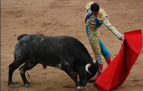 президентът колумбия подписа закон забраняващ борбата бикове