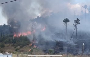 пожар пламна стара загора близо дом деца