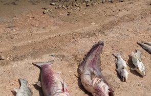 рибата язовир пясъчник измира вода