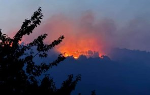 Пожар край Монтана: Горят хиляди декари по билото на планина Пъстрина