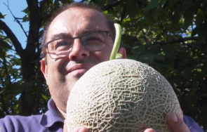 мъжът броил бона пъпеша чудо изям приятели