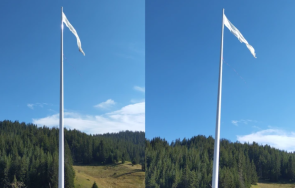 скъса трибагреникът рожен