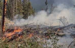 стихията ограничиха пожара юндола борбата огъня продължава