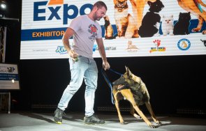 пловдив домакин голямото zoo expo българия