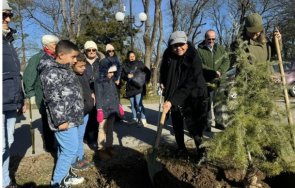 велико търново прави гора славата