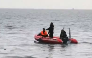 мъртви делфини изплуваха петролния разлив керченския проток