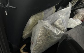 марихуана заловиха гкпп капитан андреево снимки видео