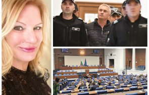 колтуклиева имунитетите политици искате уважение пародия хората стават депутати милиони закони