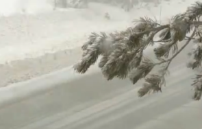 снежна буря калифорния взе живота двама души