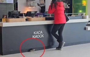 гадост плъх зоната хранене столичен мол