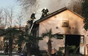 огненият пловдив двама пострадали пожара ботаническата градина снимки