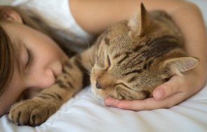 спасиха дете котка пожар нова загора