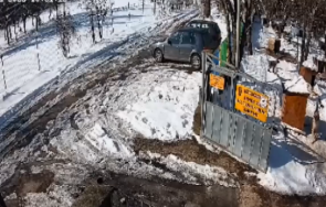 стрелба приют бездомни животни русе ранено куче