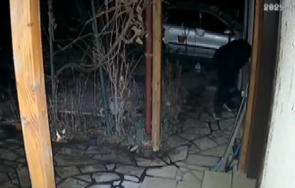 маскирани плячкосват три дни една съща къща