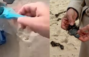 мазут покри широка ивица плаж приморско