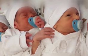 естествено заченати тризнаци пробиха статистиката 00016