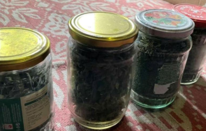 иззеха голямо количество марихуана буркани