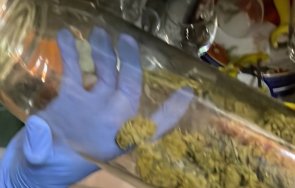 спецакция софия иззеха 4000 капсули райски газ различни наркотици снимки