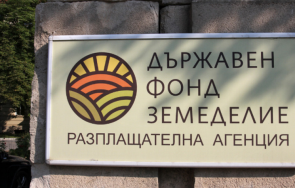 свиневъдите кандидатстват подпомагане хуманно отглеждане прасета угояване