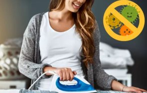 убиете бактериите акарите гъбичките