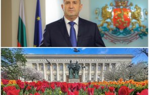 радев избяга софия празника фиаското референдума