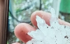 000 декара земеделски култури засегнати градушката ямболско
