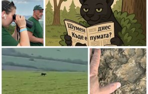 мистерията заплита черният призрак бродил лудогорието месеца дървосечаки близка среща пантерата видео снимки