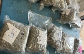 удар спипаха калотина турчин белгиец марихуана видео