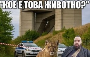 култови мемета заляха мрежата новината издирват пантера шумен снимки